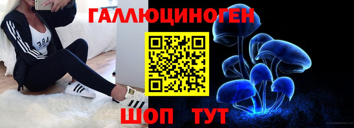 Галлюциногенные грибы GOLDEN TEACHER Гусь-Хрустальный
